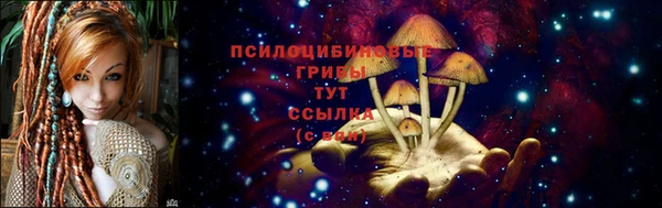 2c-b Богородицк