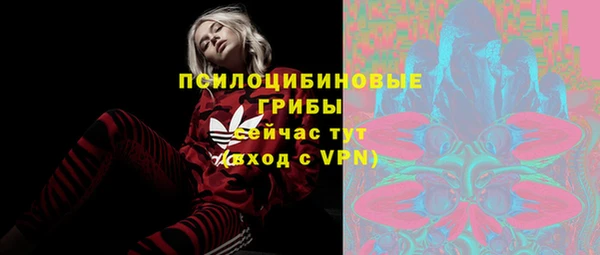 2c-b Богородицк