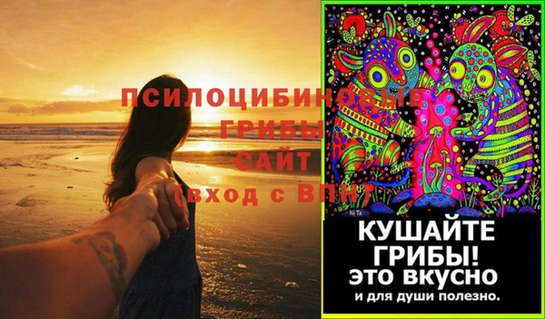 2c-b Богородицк