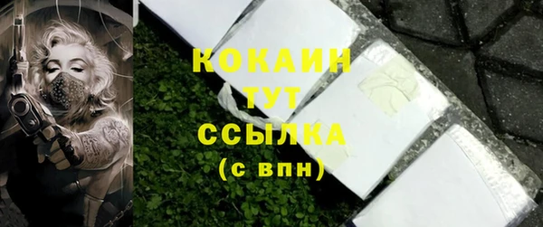 2c-b Богородицк