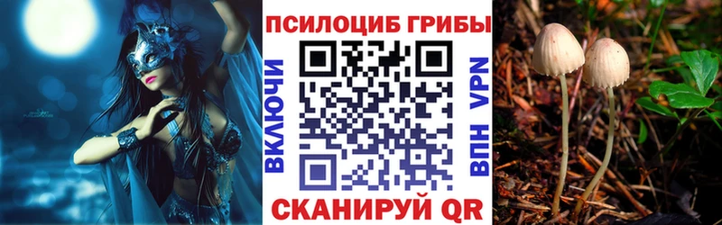 Галлюциногенные грибы мухоморы  Киренск 